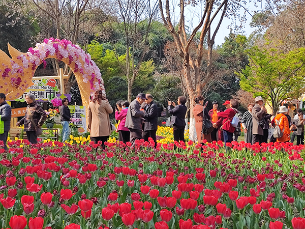 成都第六十届花会开幕 到文化公园看花花世界_fororder_花会现场吸引众多游客市民前来观赏-供图-成都市青羊区委宣传部