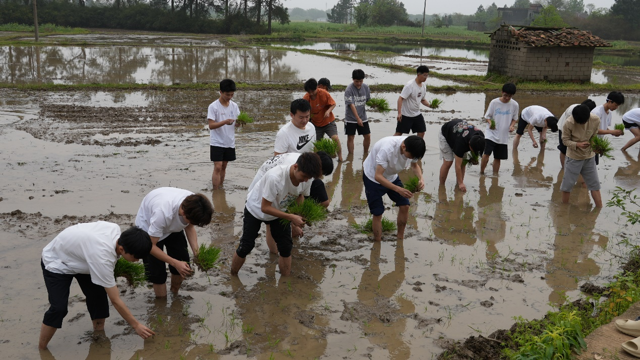东华理工大学：将劳动课堂“搬”到田间地头_fororder_11