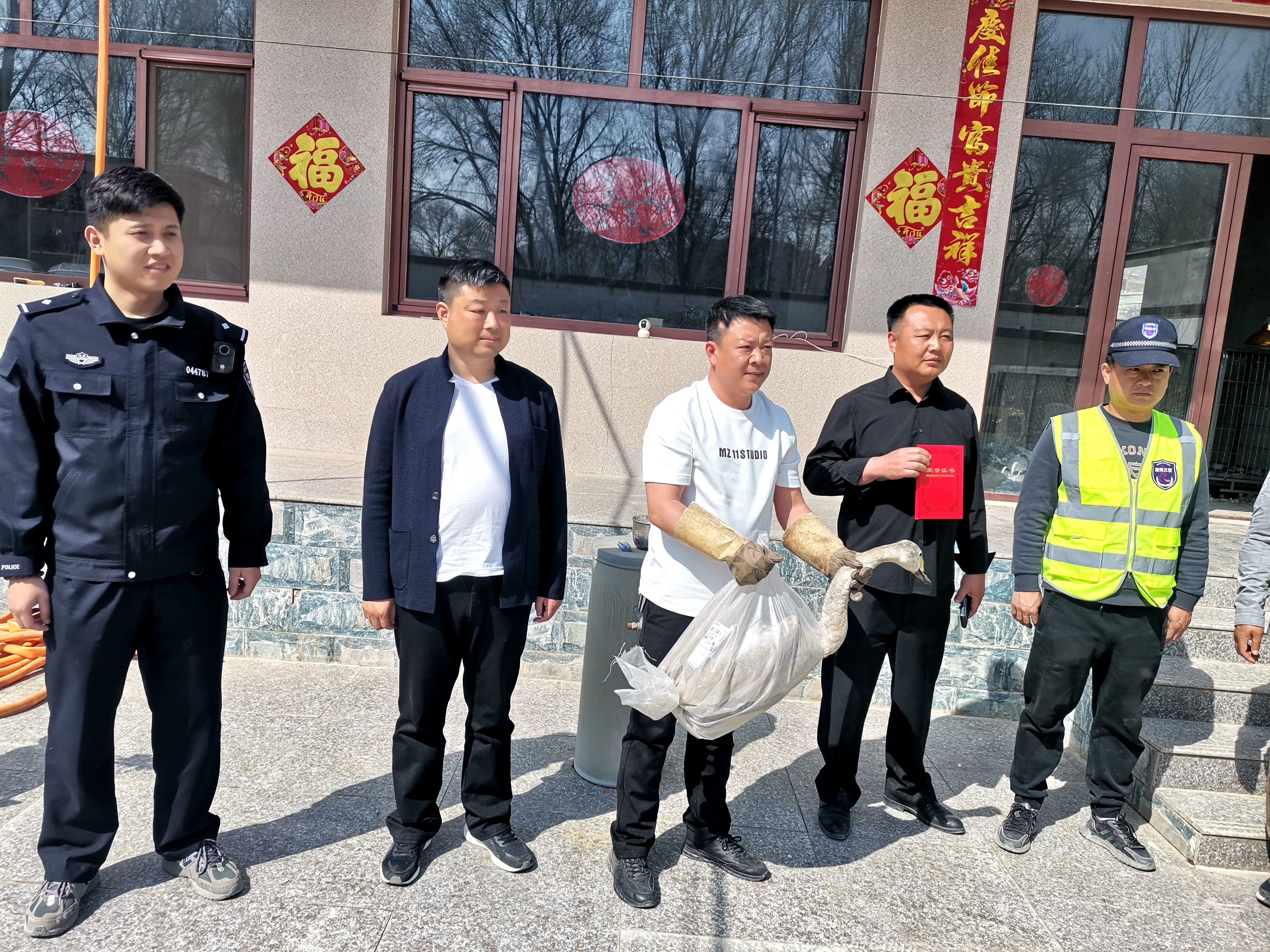 河北唐县：救助一只国家二级保护野生动物——小天鹅_fororder_救护中心工作人员给救助村民当场发放了荣誉证书
