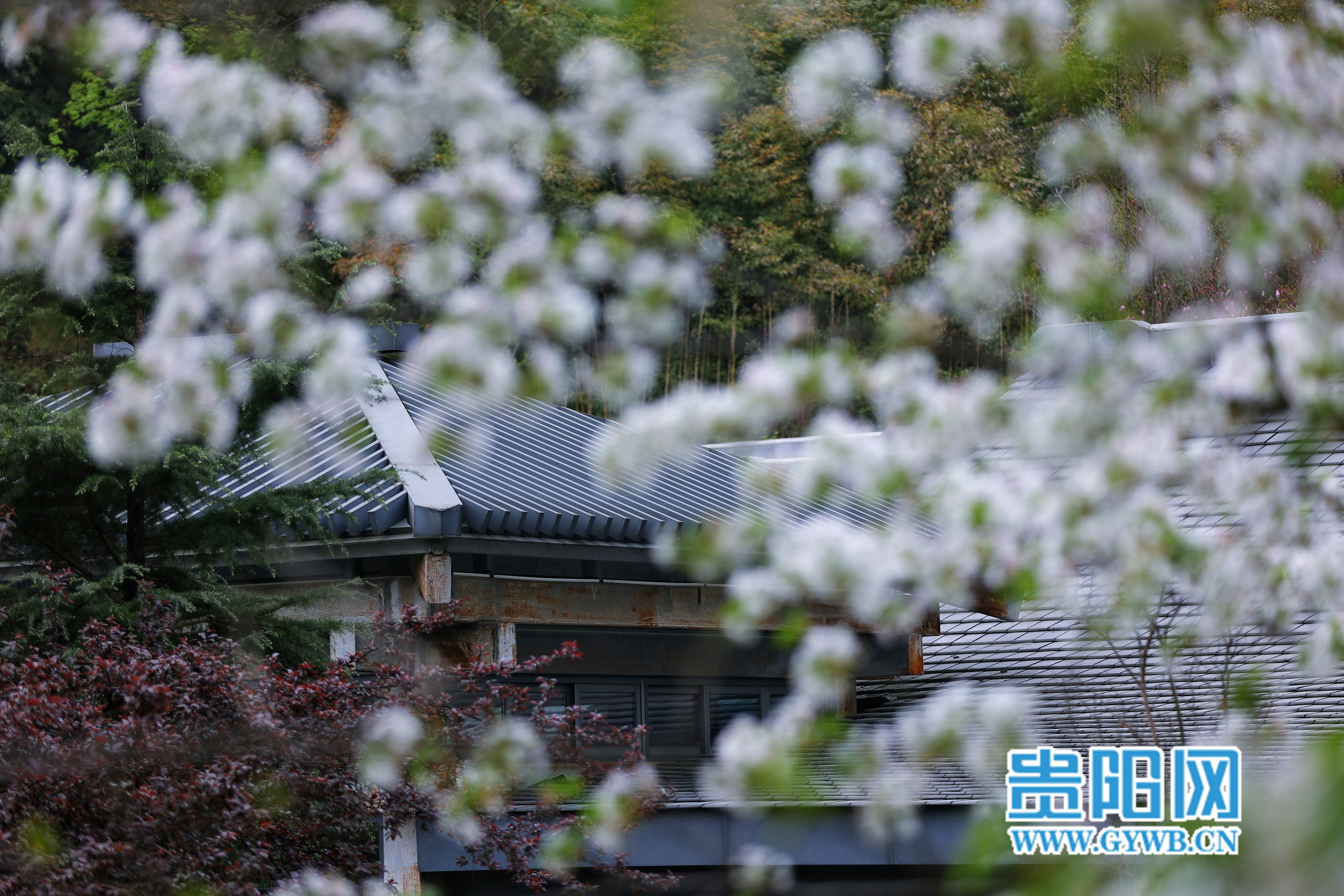 春暖花开，一起在贵阳孔学堂感受春日浪漫！