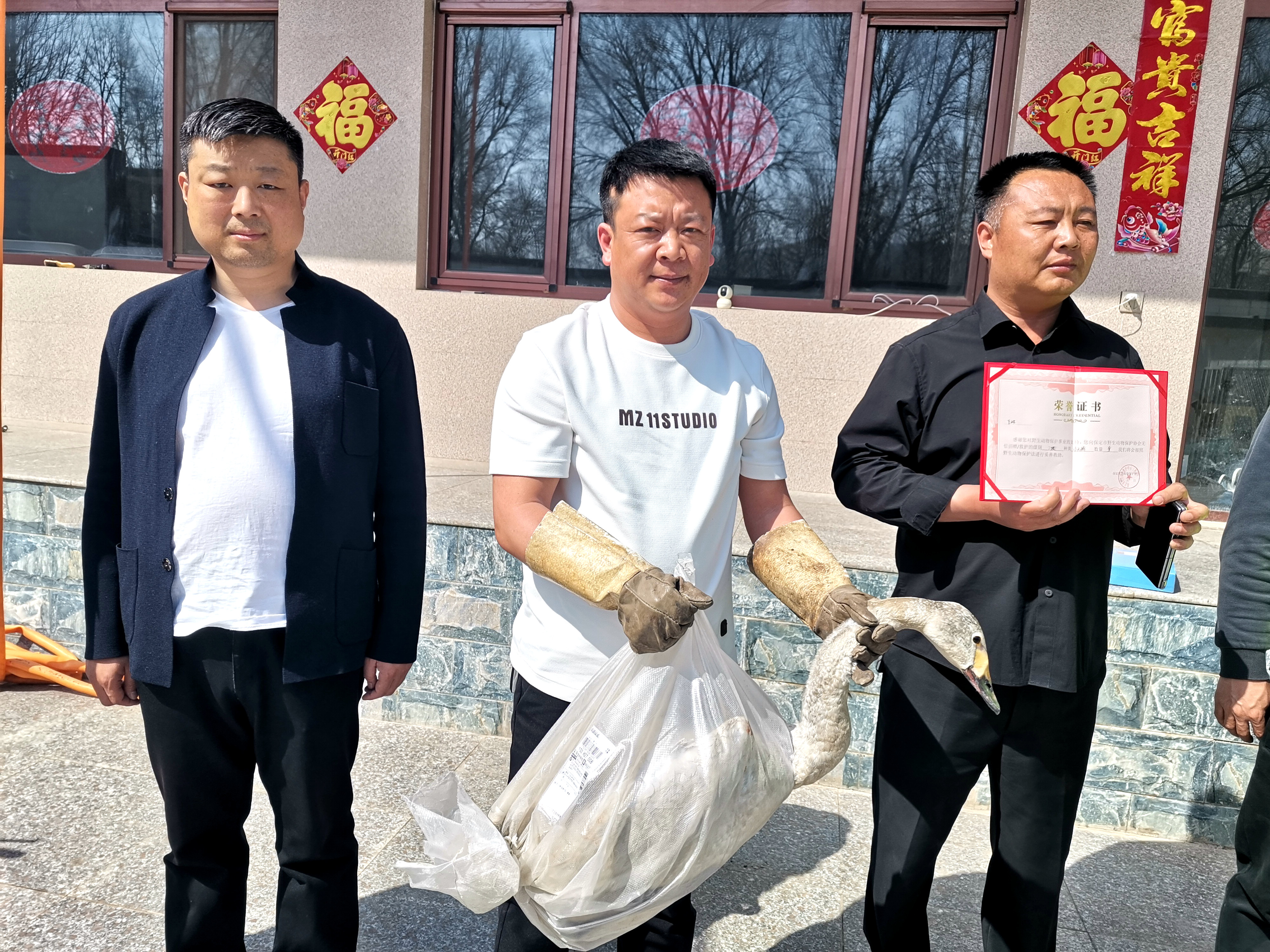 河北唐县：救助一只国家二级保护野生动物——小天鹅_fororder_工作人员将小天鹅包裹好，准备带回进行专业救助