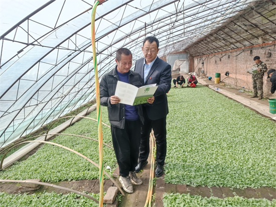 铁岭市烟草专卖局（公司）“一封信”助力烟农保生产_fororder_铁岭烟草