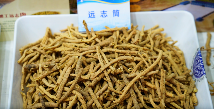 榆林市横山区：中药材成为乡村振兴的“金钥匙”_fororder_图片2