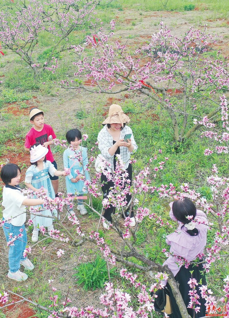 三湘花开迎客来