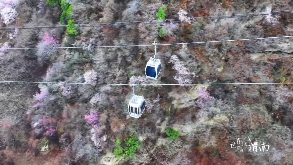【Charming陕西】西岳华山：嫩红新绿映春光_fororder_1
