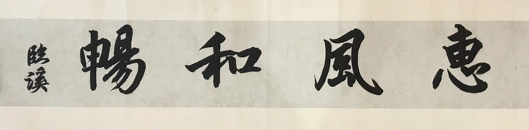流畅英文对话国外网友！新时代好少年姐弟同心讲好中国故事_fororder_图片9