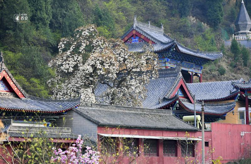 春山处处行应好