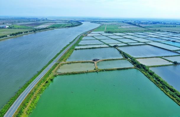 破1000万 铁河龙虾强势“出圈”