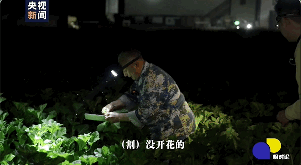 凌晨四点，你没见过的“背篓专线”｜相对论