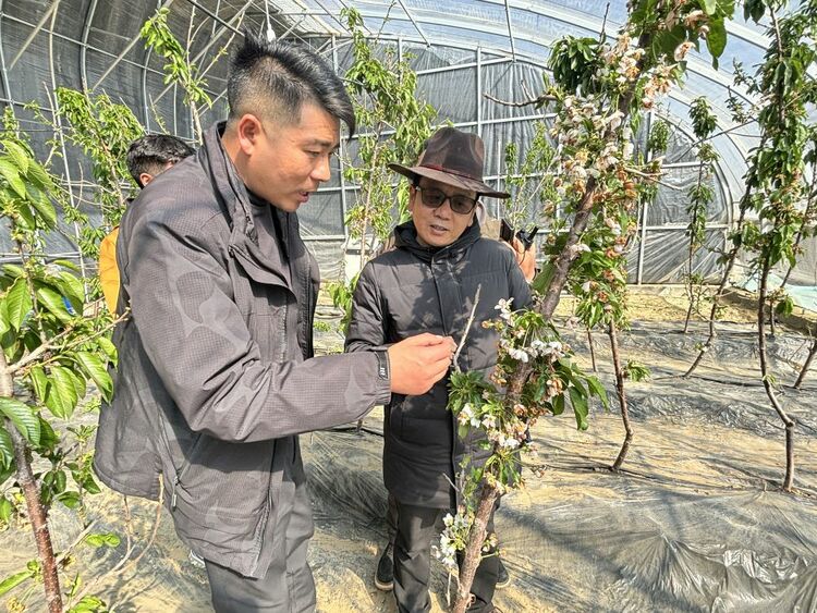 习近平总书记关切事｜走进雪域“桃花源”——青藏高原乡村发展见闻