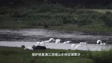 中国Vlog｜泰籍教师点赞漓江乡村生态游