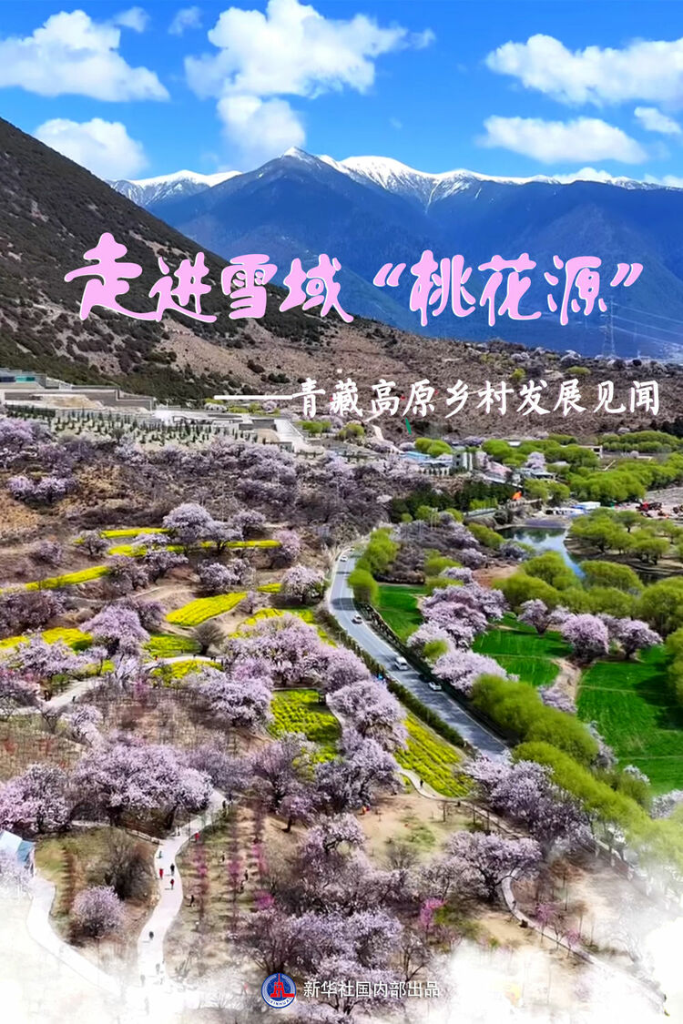 习近平总书记关切事｜走进雪域“桃花源”——青藏高原乡村发展见闻