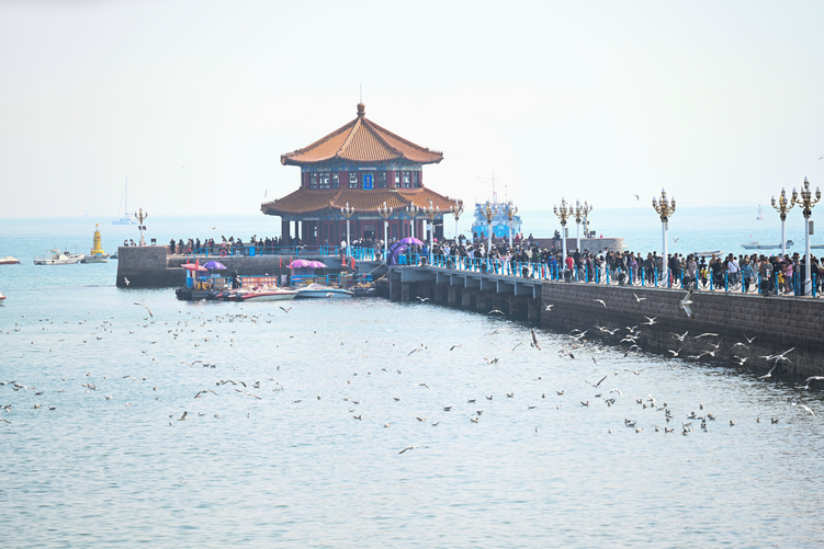 “山海之约·交换春天”网络大V采风走进百年中山路和青啤博物馆_fororder_图片2