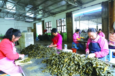 宁化深化体制创新 搏击新的航程