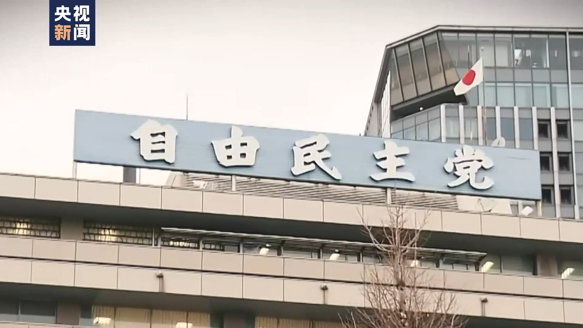 日本民众和专家：自民党应对“黑金”丑闻举措只是表面文章