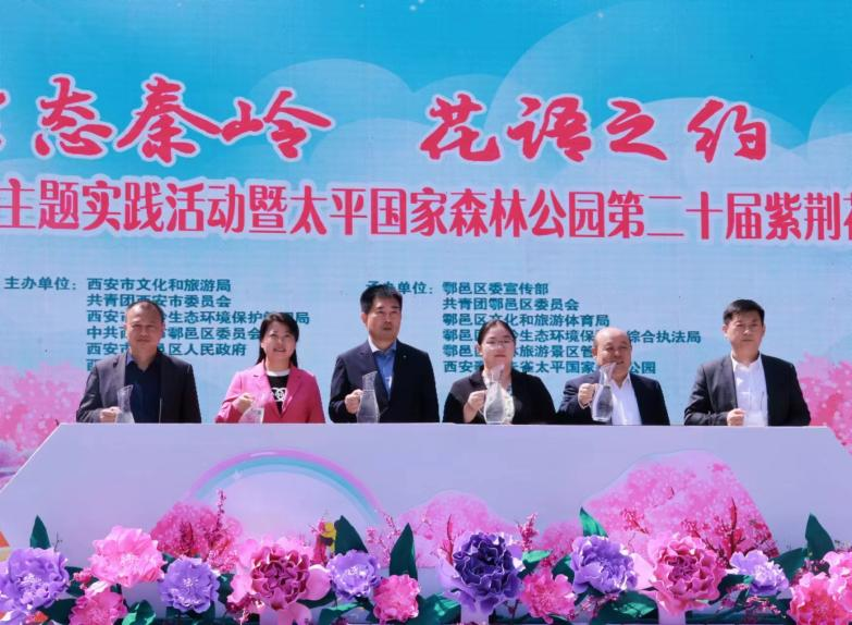 畅游生态大美秦岭 共赴一场春日紫荆花之约_fororder_图片4