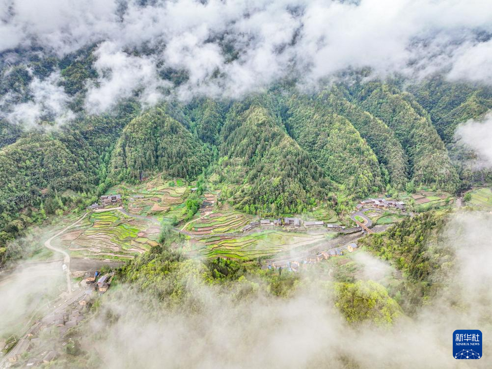 重庆石柱：武陵山间绘春色