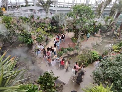 （转载）在成都也能打卡“热带雨林” 世园会植物馆里藏“神奇植物”