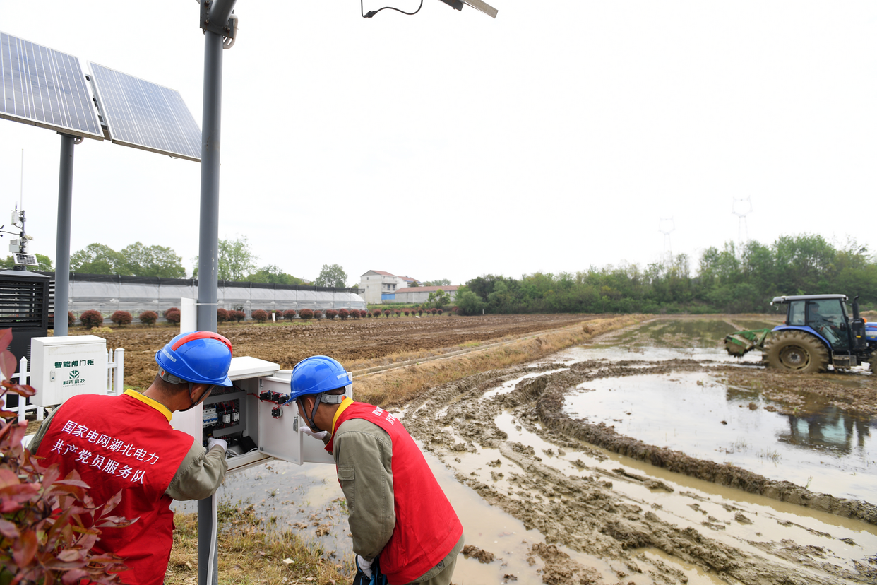 State Grid Wuhan Electric Power Supply Company Ensures Stable Power Supply for Smart Spring Farming_fororder_图片2