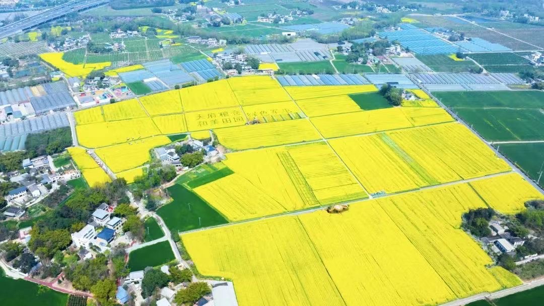 （转载）总投资42.5亿元 助力新都天府粮仓精品区建设