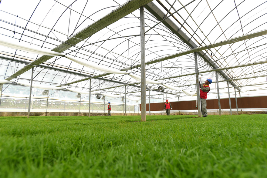 State Grid Wuhan Electric Power Supply Company Ensures Stable Power Supply for Smart Spring Farming_fororder_图片1