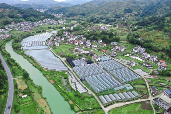 迈向开放高地｜蔬菜出高山 借“船”出海忙_fororder_湖南图片