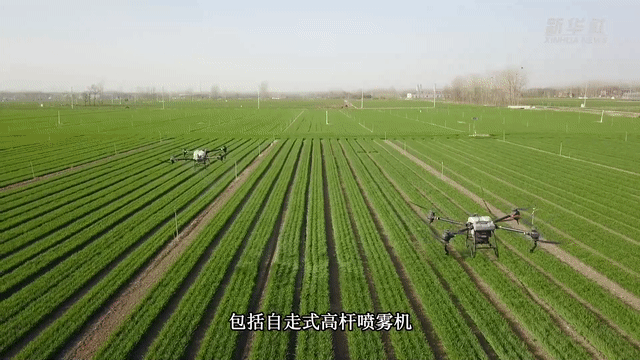 中国故事｜新质生产力下的春耕“新把式”