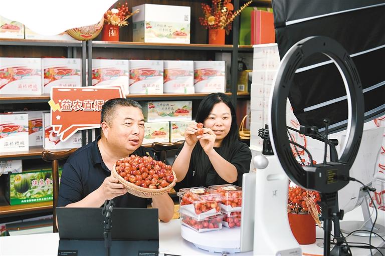 甜蜜樱桃挂满枝 铺就红火致富路_fororder_微信图片_20240520114632