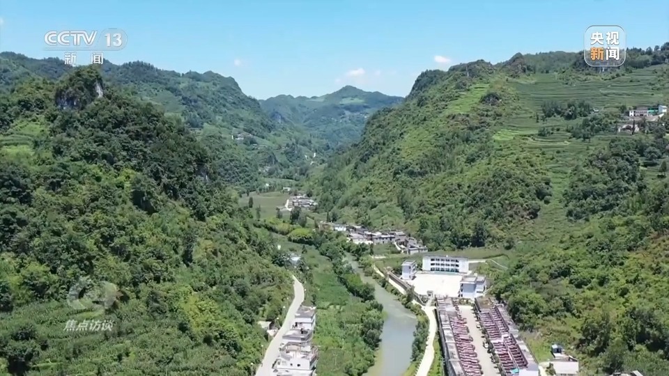 焦点访谈丨生态退化→水清岸绿 三省交出赤水河治理新答卷