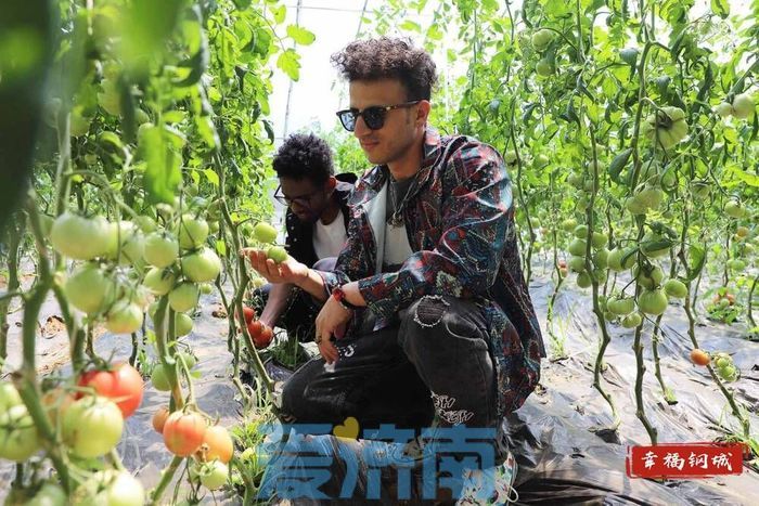 济南钢城区：桃花源里引来“洋朋友”