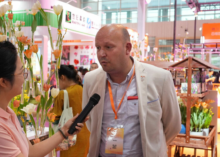 荷兰花卉展商：郁金香见证荷中两国友谊 创造了合作机遇