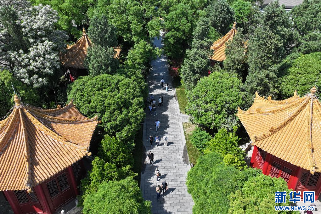 西安：博物馆旅游热
