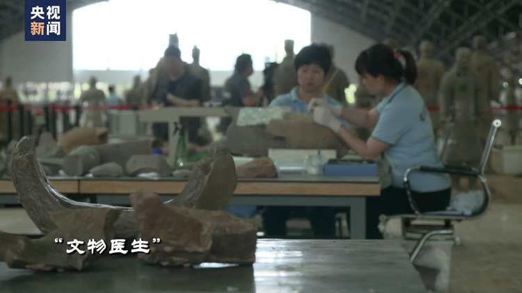 世界周刊丨兵马俑与法兰西的“对话”