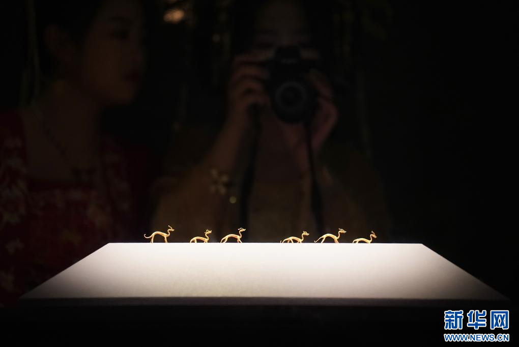 西安：博物馆旅游热