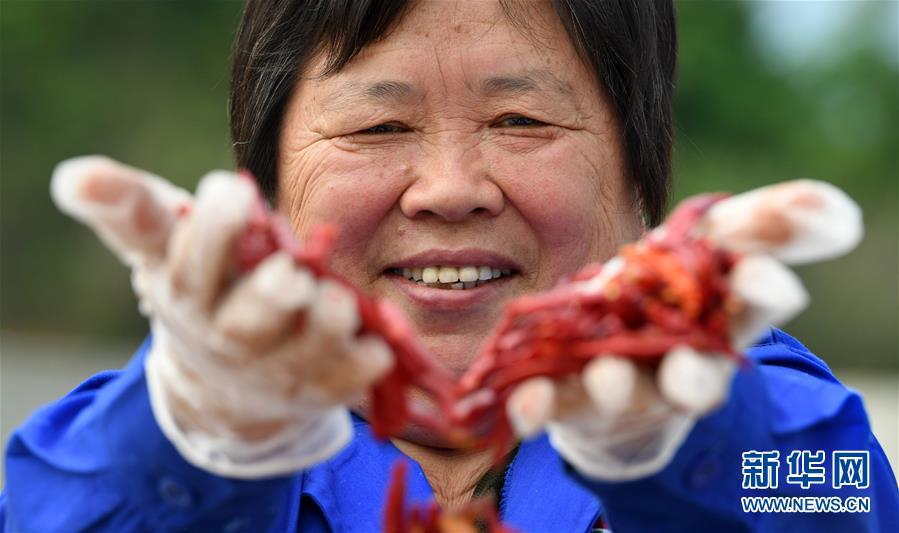 “辣椒婆婆”乡村创业记
