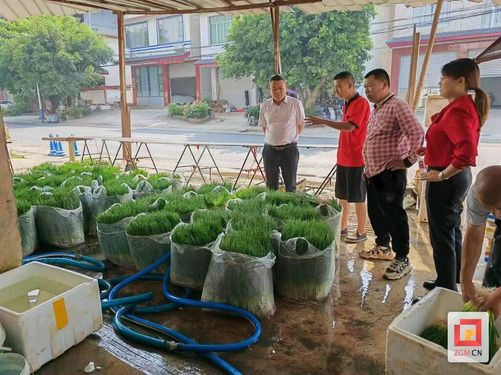 （转载）社会百业 | 自贡市沿滩区王井镇：学习先进技术 全力推进园村共建
