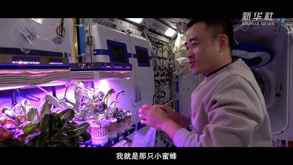 微纪录片｜中国空间站：与神十七乘组在一起的日子