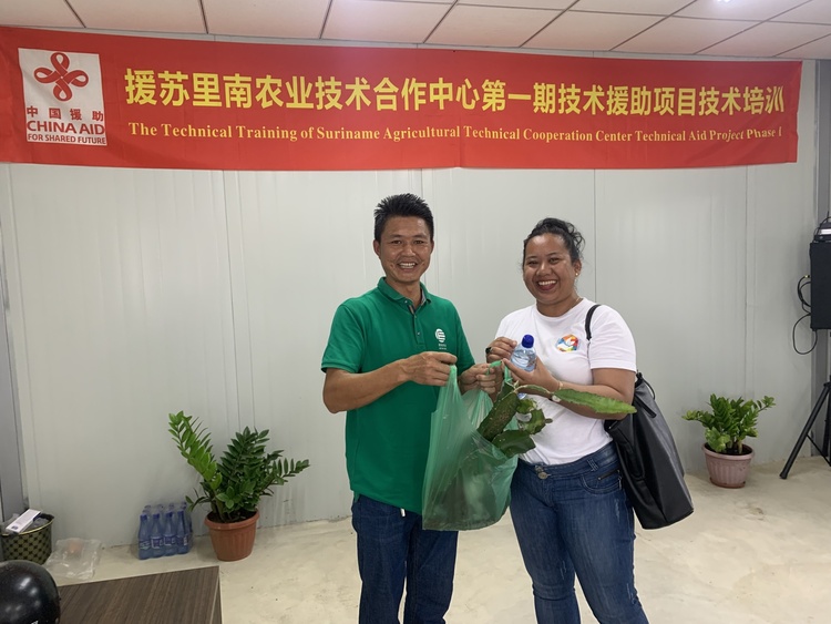 中国援苏里南农业技术专家：“当地百姓说好才是真的好”