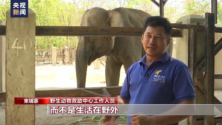 热热热！高温炙烤东南亚 多国最高气温超40℃