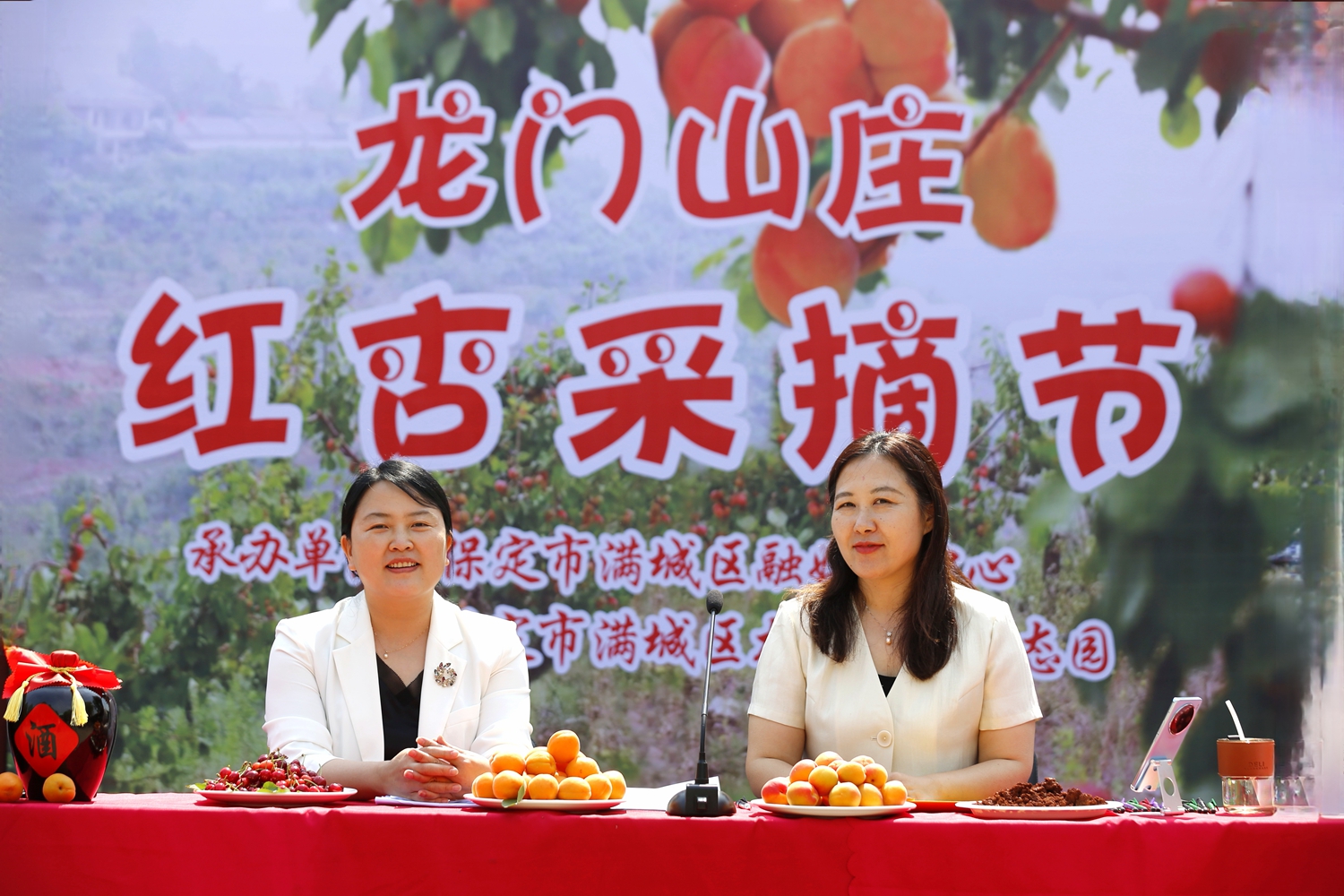 保定市满城区：龙门山庄红杏采摘节暨满城区航拍大队成立_fororder_城区文旅局局长走进直播间推荐满城旅游精品路线 摄影 田素然