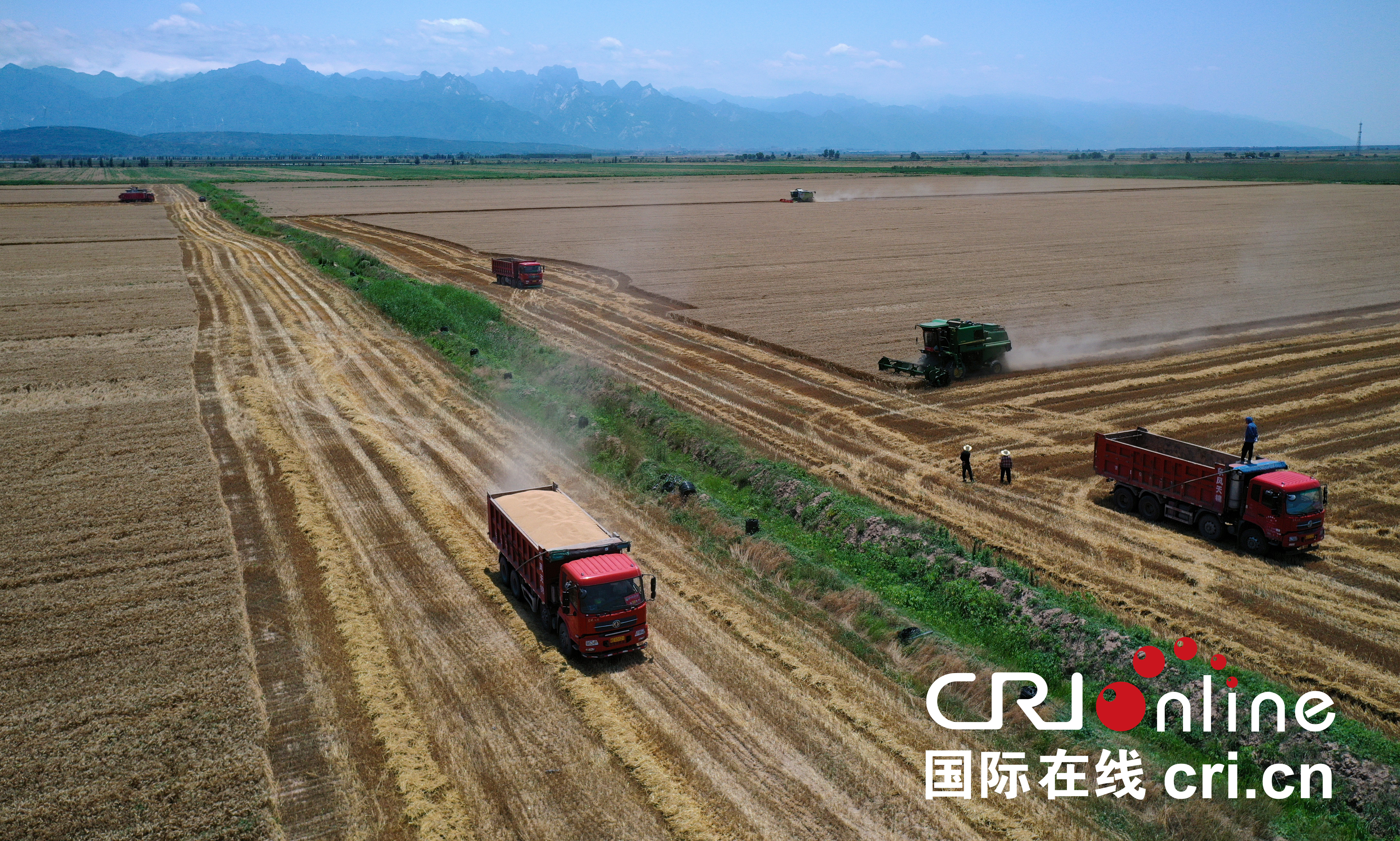 陕西渭南“三夏”大规模机收工作全面展开_fororder_DJI_0306
