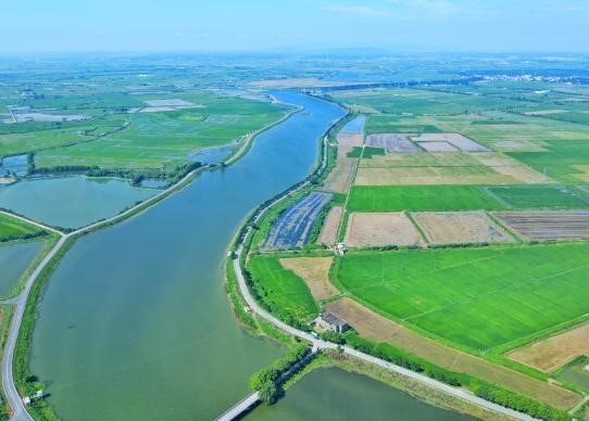 破1000万 铁河龙虾强势“出圈”