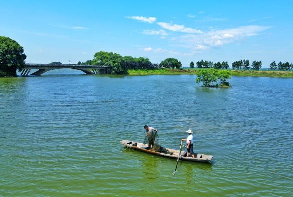 破1000万 铁河龙虾强势“出圈”
