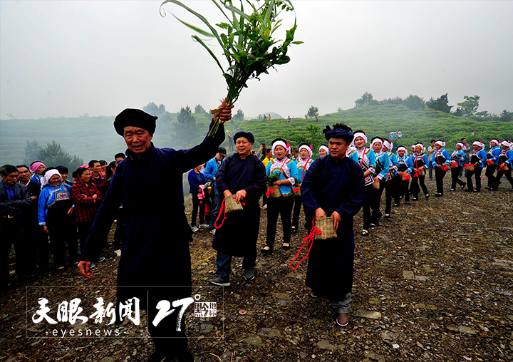 做好制茶技艺传承助力茶旅融合！都匀毛尖香沁心脾