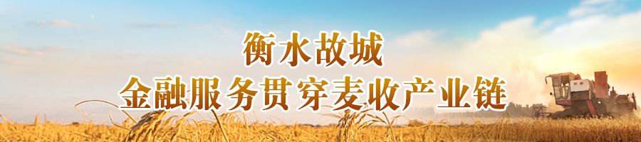 河北：各地护航“三夏”保丰收