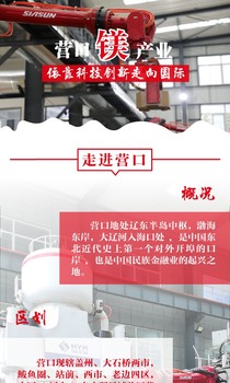 【特色产业看营口⑮】图解|营口镁产业：依靠科技创新走向国际