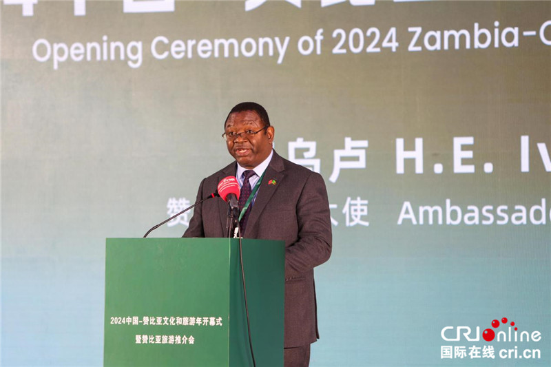 建交60年！2024中国-赞比亚文化和旅游节开幕_fororder_3