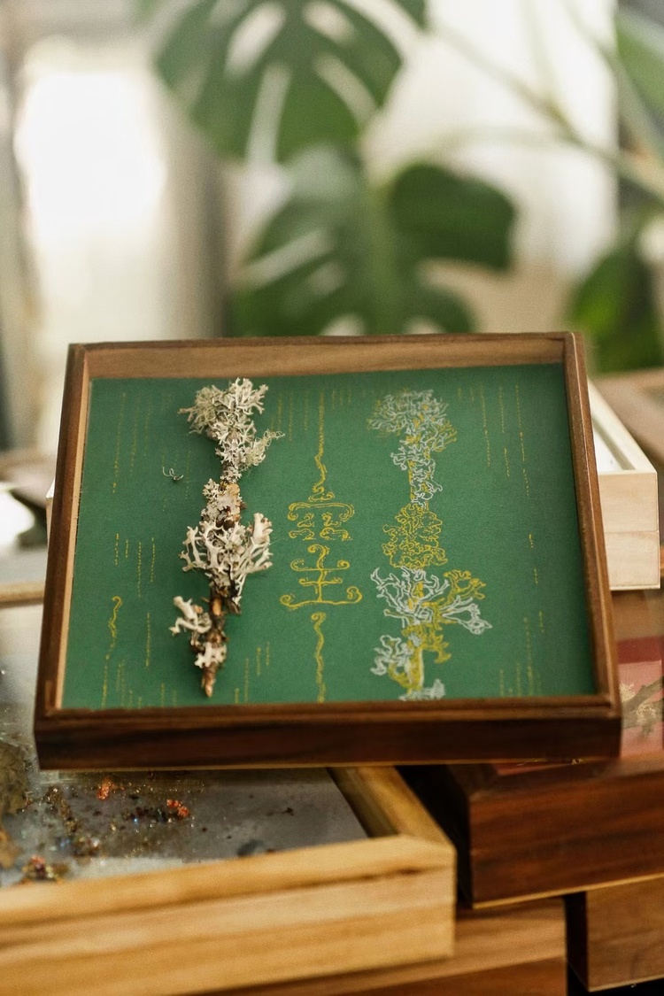（转载）荒野小径的心灵奇遇 她有一颗“芳草心”