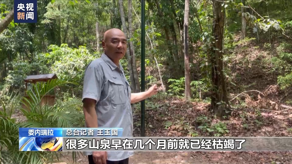 总台记者探访丨委内瑞拉持续干旱高温致林火多发 农作物减产