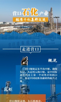 【特色产业看营口⑬】营口石化产业：瞄准千亿集群迈进